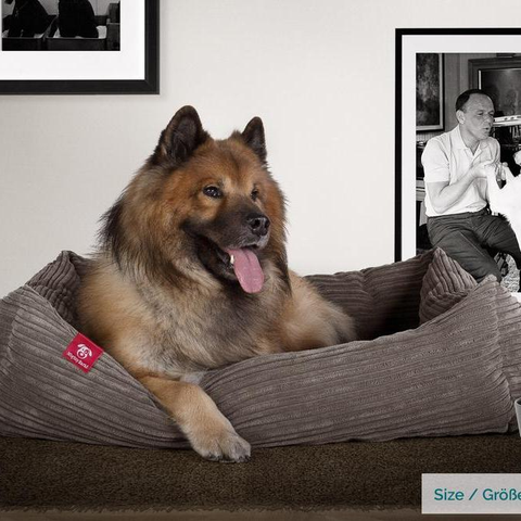 Our fantastic range dog beds available in many shapes, fabrics and colors.