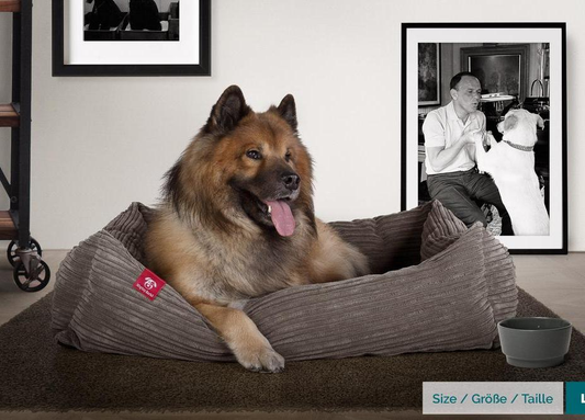 Dog Beds
