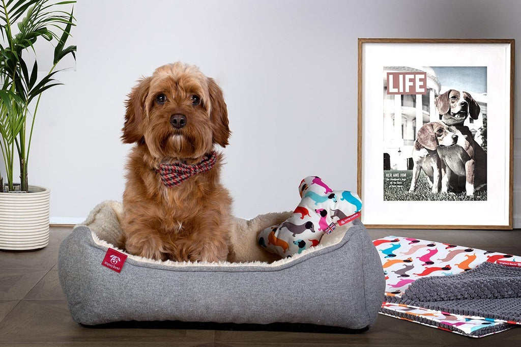 Blankets and cushions to compliment your dog bed.