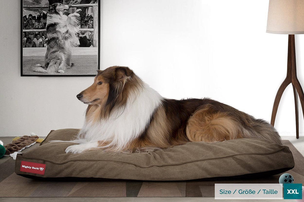 This dog bed features a luxurious high quality fabric outer, innovative Memo-Bounce filling, machine washable & removable outer, a stain resistant protective treatment, an anti-slip base and a decorative top stitch. 