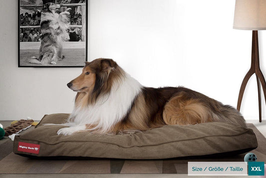 Classic Mattress Dog Beds