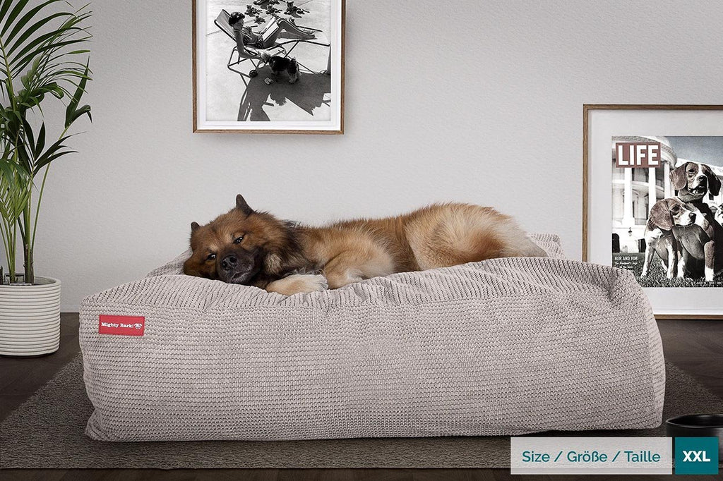 This loveable crash pad style dog bed by Mighty Bark is one comfortable place to be. Designed for dogs who have a penchant for human beds.
