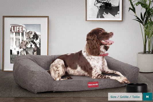 Sofa Dog Beds